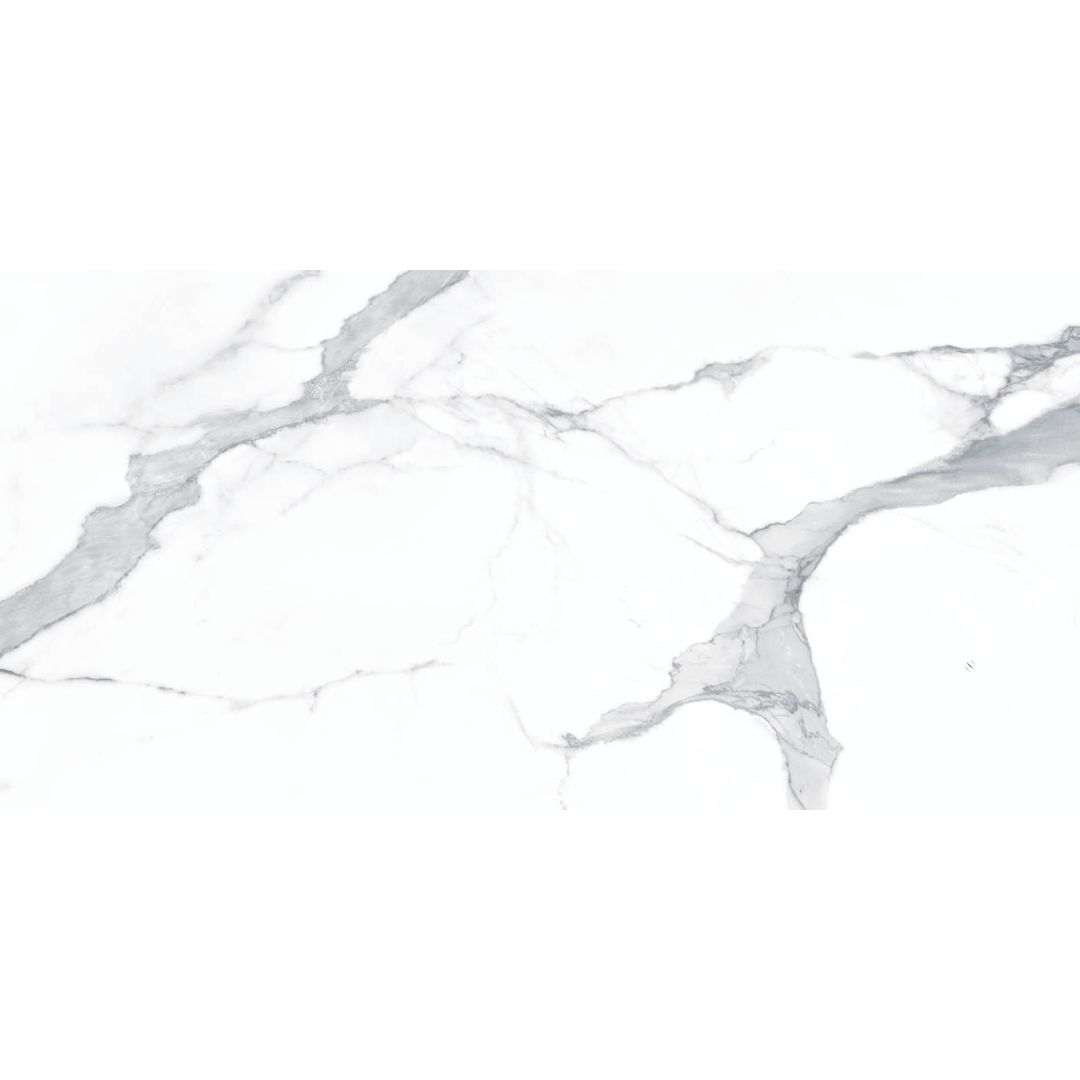 Marmi Matte Statuario Matt 60x120 DDL Tiles